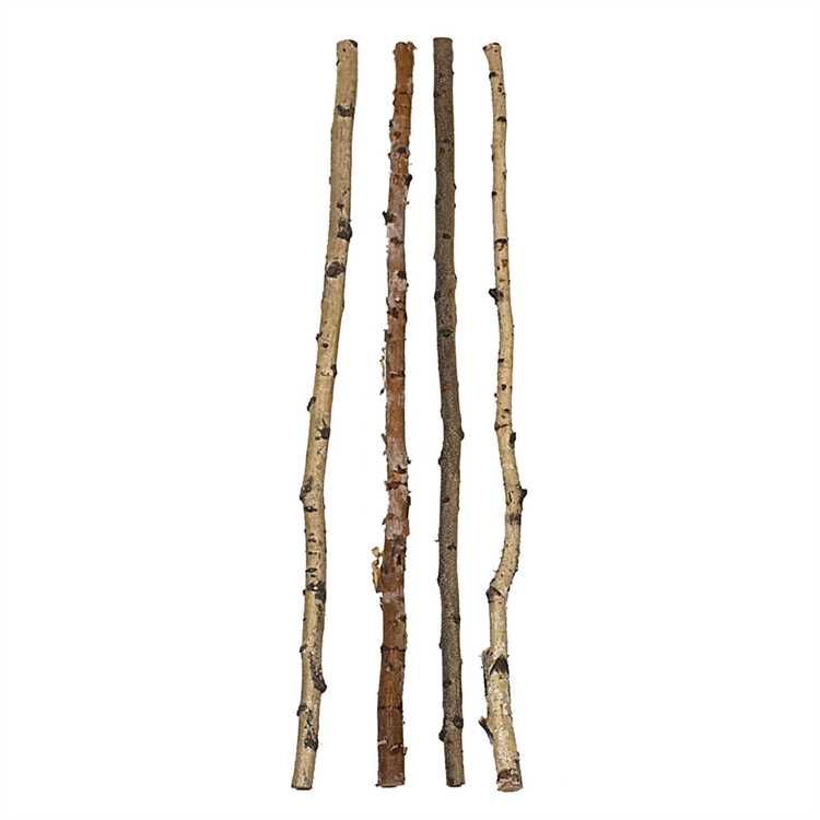 Birch Wood Branch