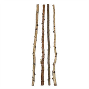 Birch Wood Branch