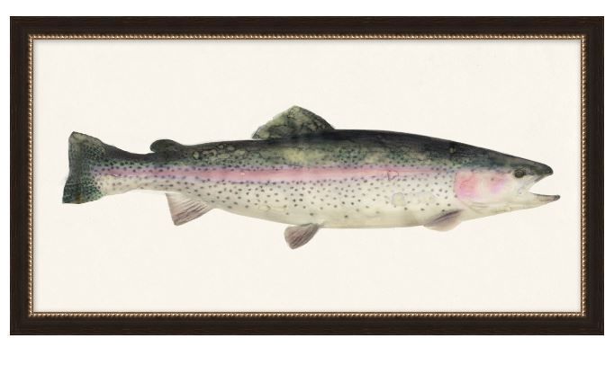 Fresh Catch 6, Art