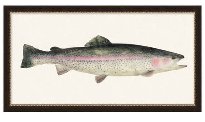 Fresh Catch 6, Art